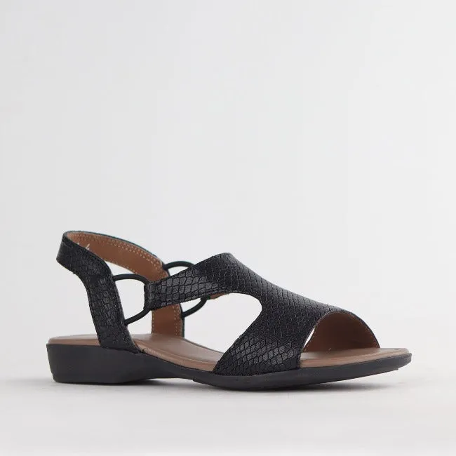 Slingback T-Bar Flat Sandal in Black Multi - 12104